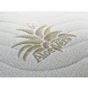 potah aloe vera